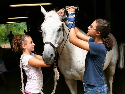 horse pictures for kids. Kids Horse Riding Camps