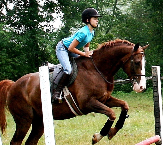 equestrian camp category page 2 of 3 equestrian summer camps equestrian 625x555