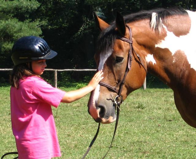 Girls Horse Equestrian Camp
