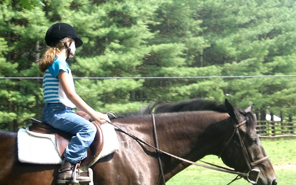 NC Equestrian Camp