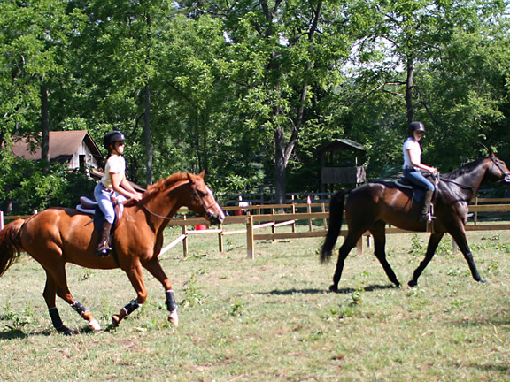horseback riding group