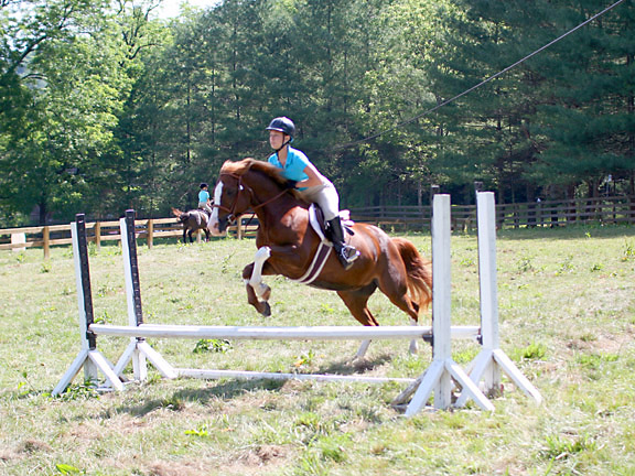 girl jumping horse over rails