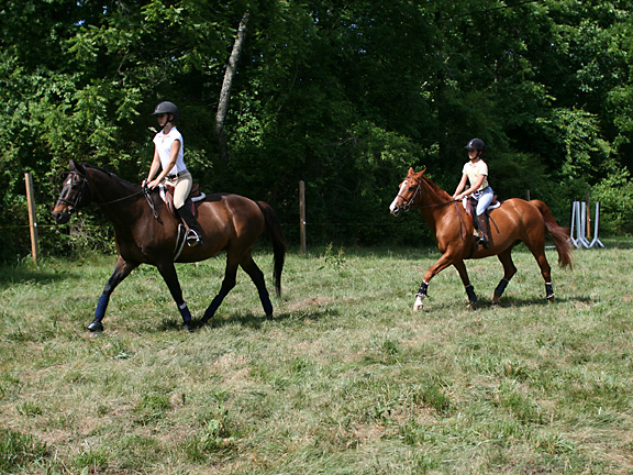 trotting horse lesson