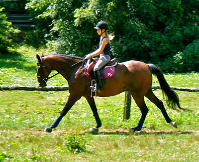 Girl Horseback Riding Horse