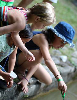 Camp girls exploring nature in the lake