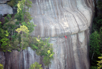 Camper rock climbing Castle Rock North Carolina