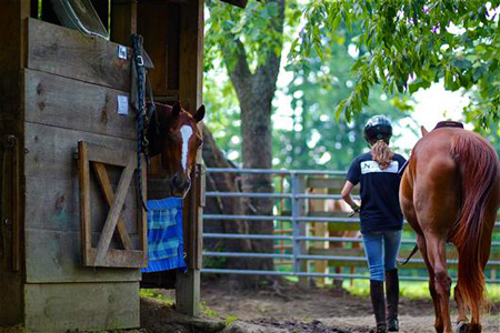 Camp horse barn