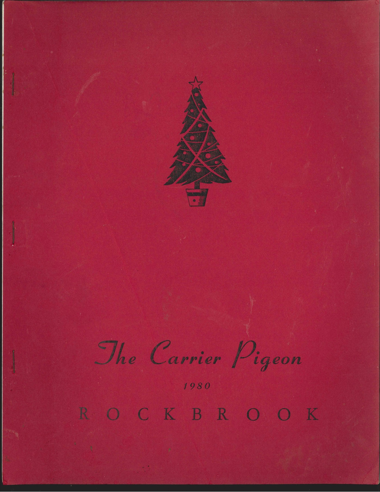 Camp writings book 1980