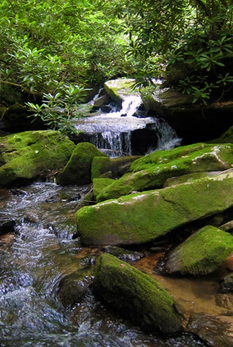 Rockbrook Camp has several waterfalls on its property