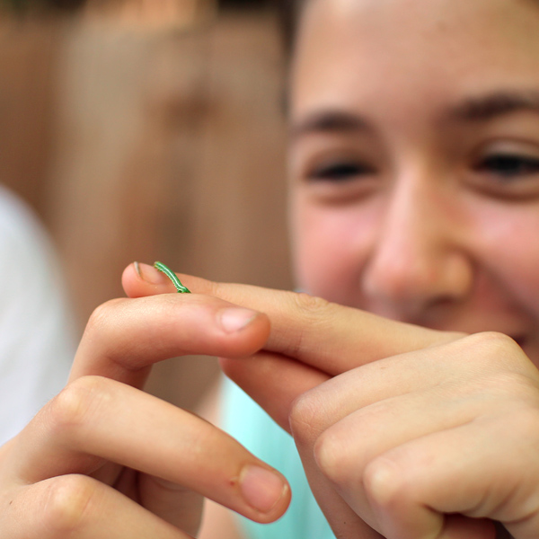 Girl holding an inch worm