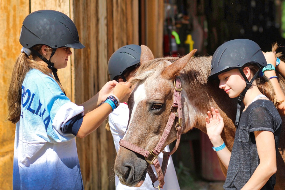 horse care girls