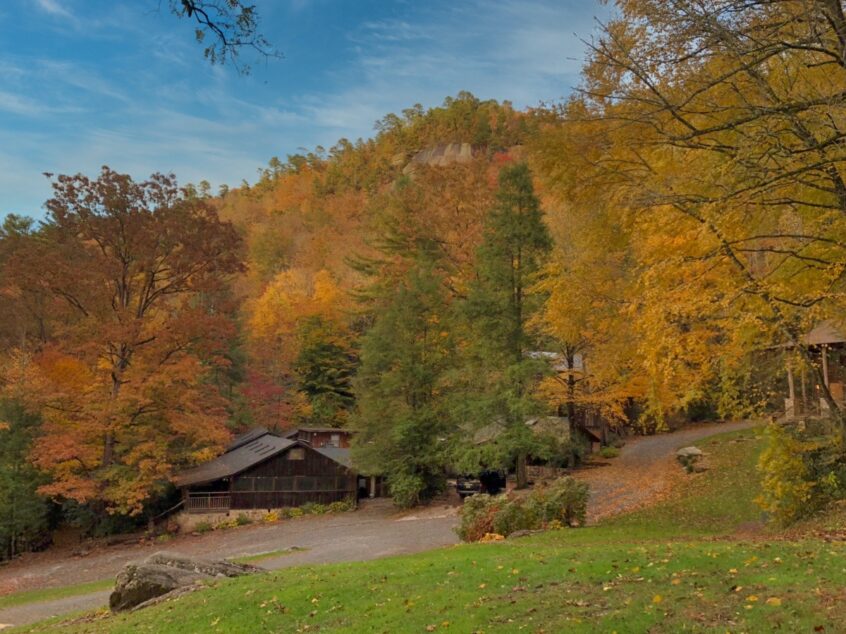 Fall view of camp forest