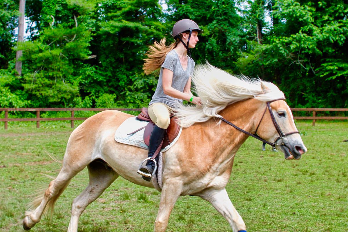 horse and girl long hair