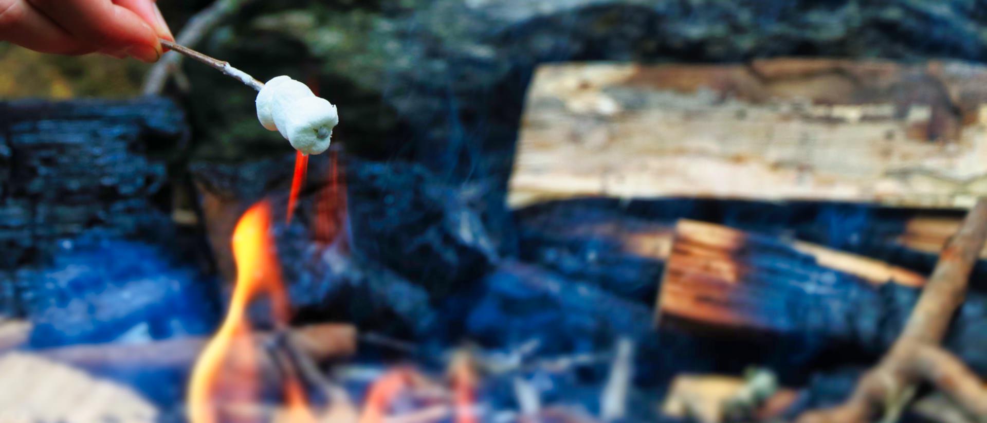 making smores over a campfire