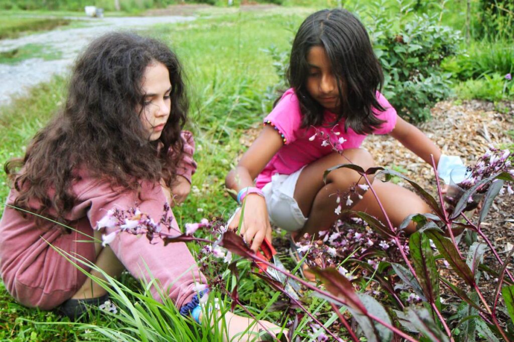 camp girls picking flowers