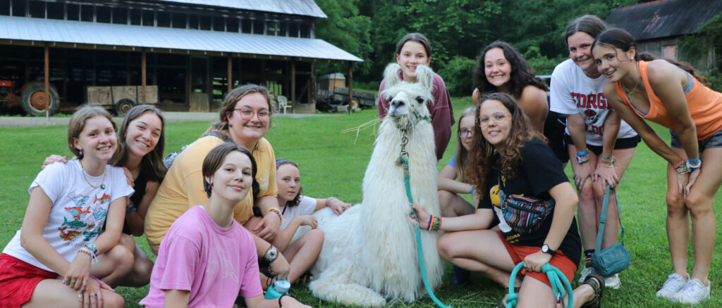 llama sitting with girls